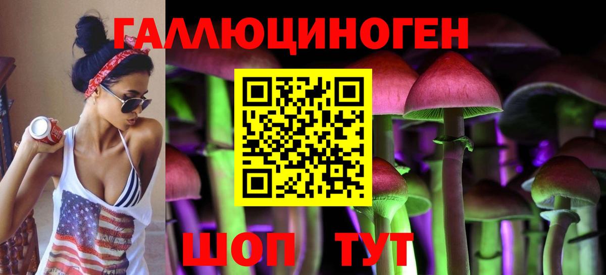 Галлюциногенные грибы Cubensis Ессентуки