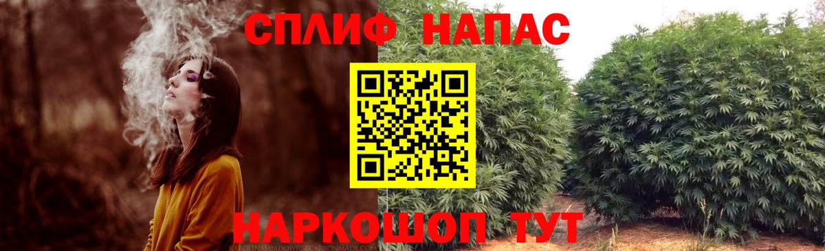 Шишки марихуана сатива Ессентуки